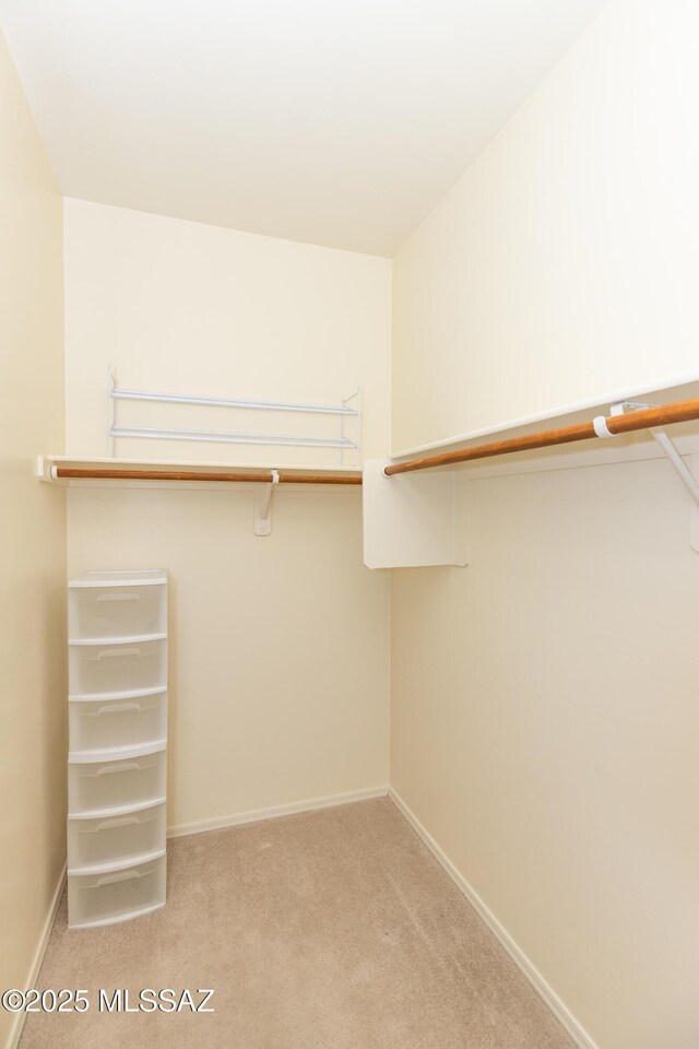 4161 W Diamond Butte Ct, Tucson, AZ 85745 - spacious closet with light colored carpet