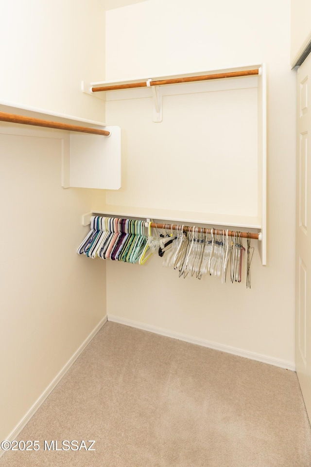 4161 W Diamond Butte Ct, Tucson, AZ 85745 - walk in closet with carpet