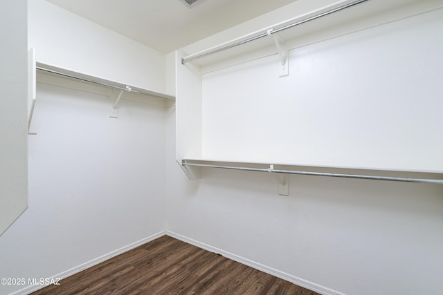 803 W Calle Muro Fuerte Dr, Sahuarita, AZ 85629 - walk in closet with dark wood finished floors