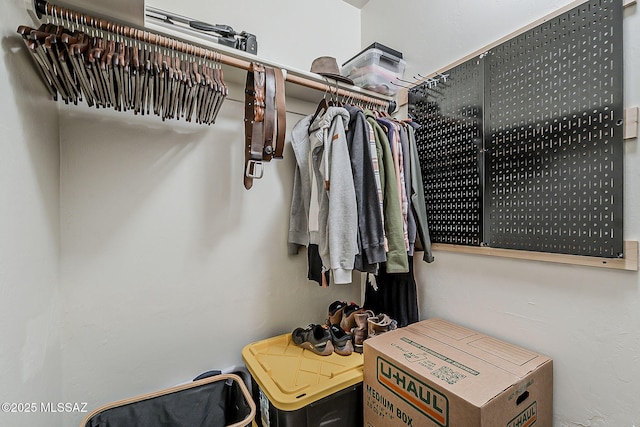 view of spacious closet