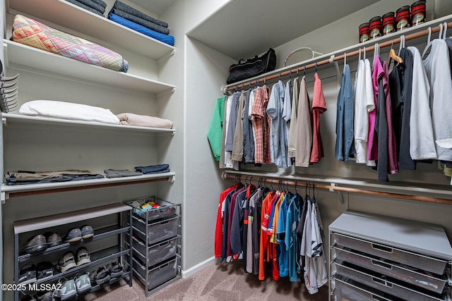 4296 N Rillito Creek Pl, Tucson, AZ 85719 - walk in closet with carpet flooring