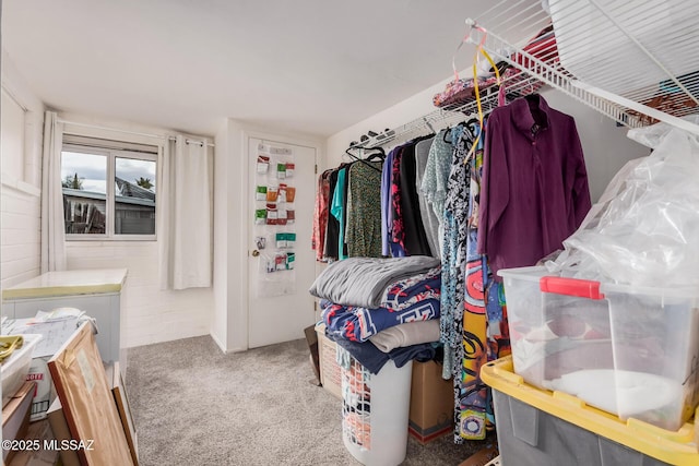 8360 E Mary Dr, Tucson, AZ 85730 - walk in closet featuring carpet flooring