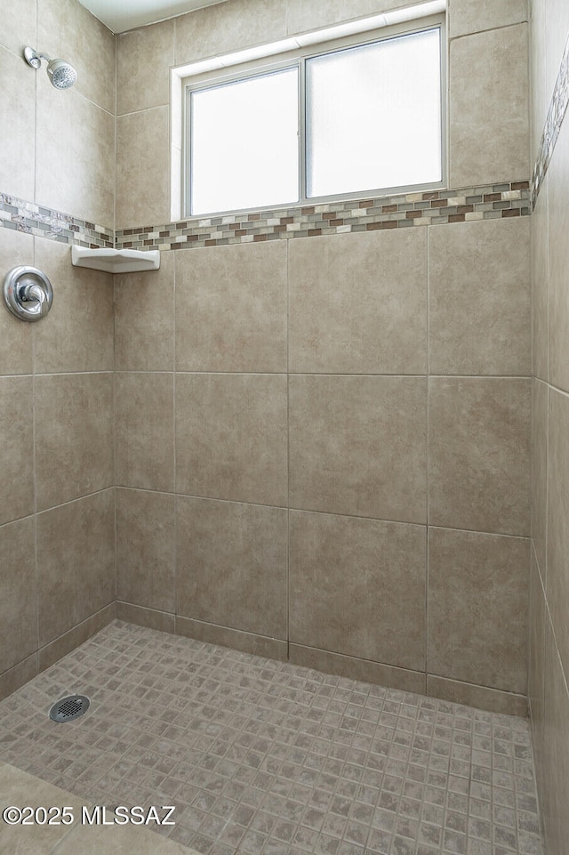 6664 E Mary Dr, Tucson, AZ 85730 - bathroom with tiled shower