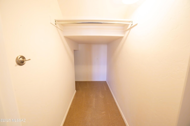 14333 S Camino Vallado, Sahuarita, AZ 85629 - hallway with carpet and baseboards