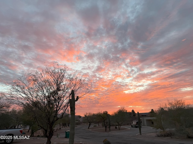 2831 W Puccini Pl, Tucson, AZ 85741 - view of asphalt road