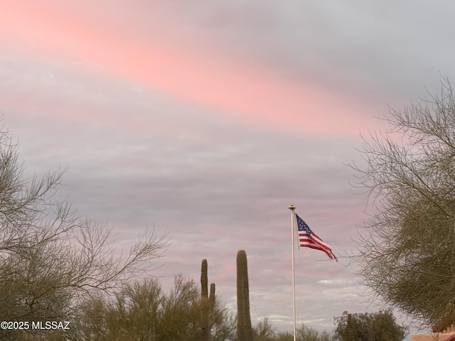 2831 W Puccini Pl, Tucson, AZ 85741 - water view