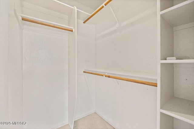 11126 N Guava Dr, Oro Valley, AZ 85737 - view of walk in closet