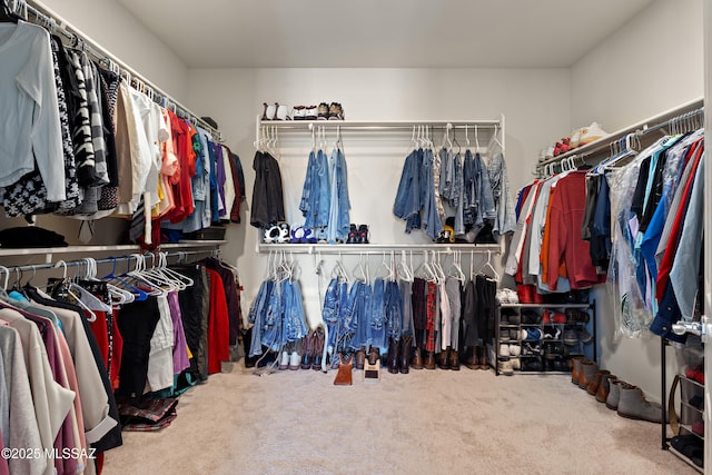 7809 S Land Grant Dr, Tucson, AZ 85747 - spacious closet with carpet floors
