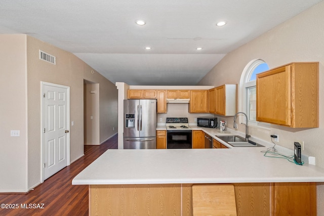8892 E Apache Well Pl, Tucson, AZ 85730 - kitchen featuring stainless steel appliances, lofted ceiling, a sink, light countertops, and under cabinet range hood