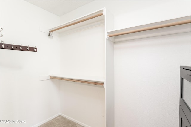 walk in closet featuring carpet