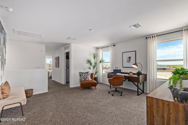 12203 E Patricia Ann Dr, Vail, AZ 85641 - carpeted office space featuring baseboards
