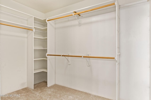 13940 E Hay Bale Trl, Vail, AZ 85641 - walk in closet featuring carpet floors