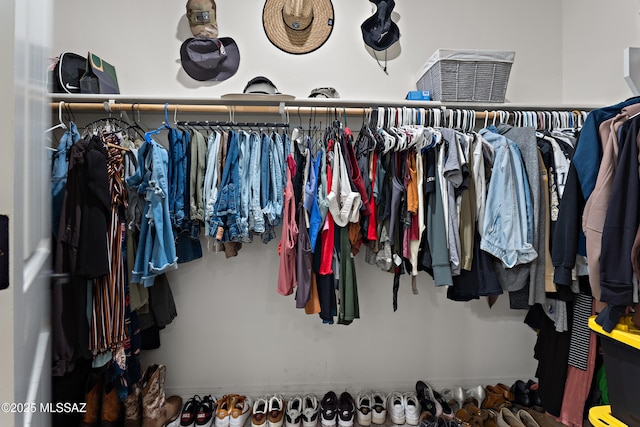 14233 E Hub Dr, Vail, AZ 85641 - view of spacious closet