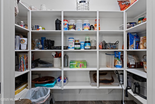 14233 E Hub Dr, Vail, AZ 85641 - view of pantry