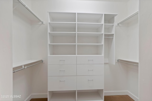 60922 E Arbor Basin Rd, Oracle, AZ 85623 - view of walk in closet