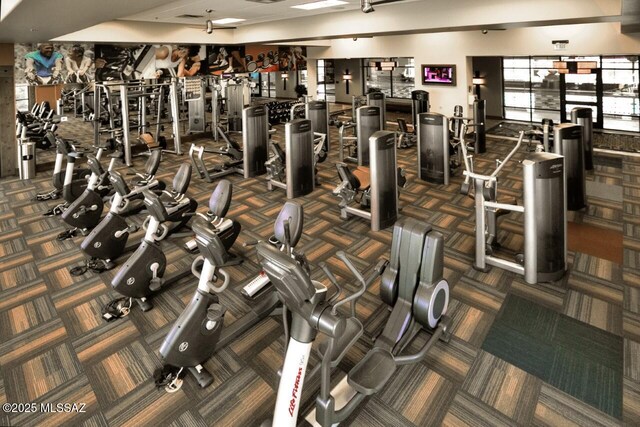 60922 E Arbor Basin Rd, Oracle, AZ 85623 - exercise room featuring carpet