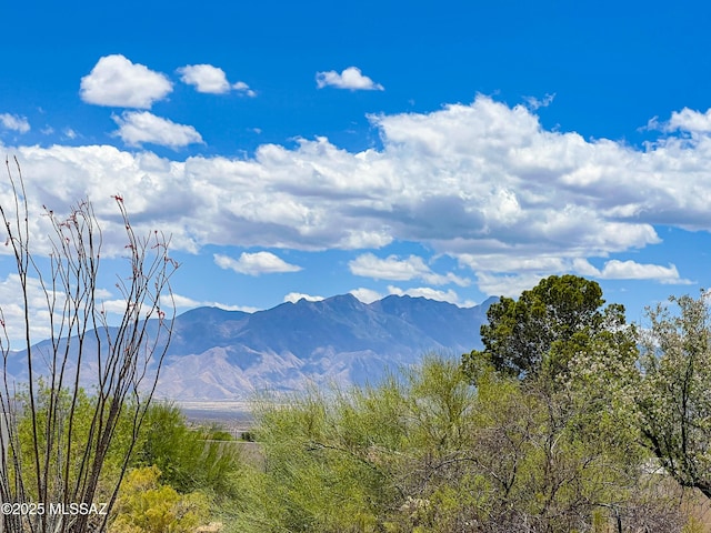 723 S Los Zafiros, Green Valley, AZ 85614 - mountain view