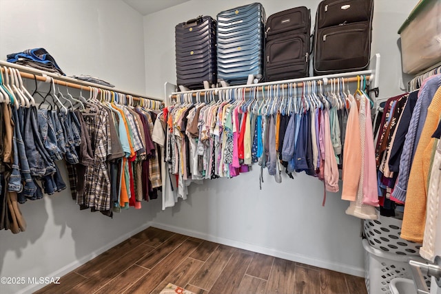 7138 W Ferntree Ln, Tucson, AZ 85757 - walk in closet with dark wood finished floors