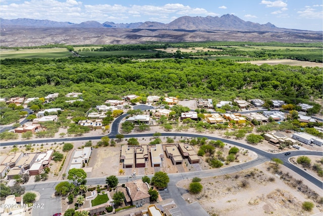 2125 Embarcadero Way, Tubac, AZ 85646 - aerial view of residential area featuring a mountainous background