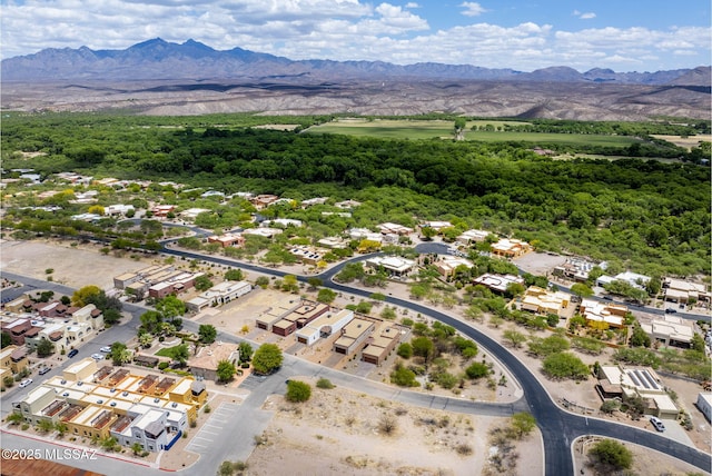 2125 Embarcadero Way, Tubac, AZ 85646 - aerial perspective of suburban area with mountains