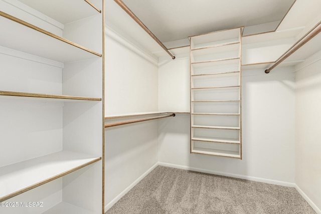 5050 N Crestridge Dr, Tucson, AZ 85718 - walk in closet featuring light colored carpet