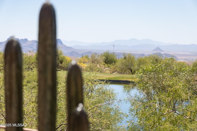 14198 N Gallery Pl, Marana, AZ 85658 - water view with a mountain backdrop