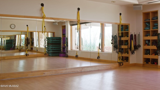 14198 N Gallery Pl, Marana, AZ 85658 - exercise area featuring wood finished floors and baseboards