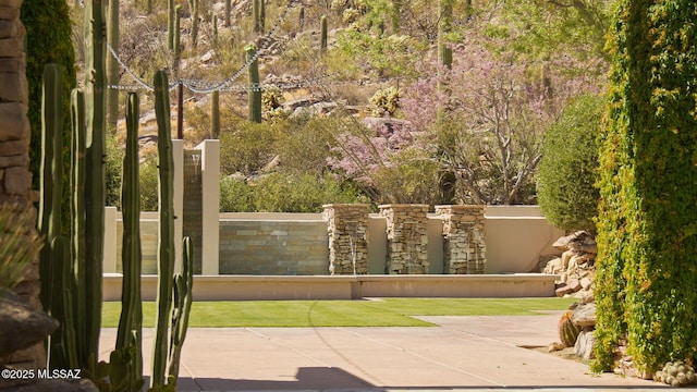 14198 N Gallery Pl, Marana, AZ 85658 - view of surrounding community