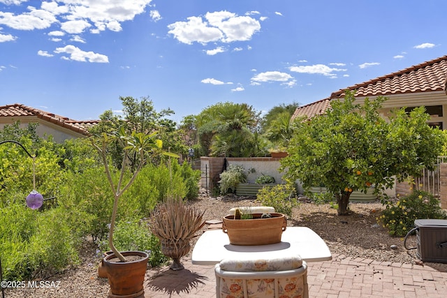 2246 E Amaranth St, Oro Valley, AZ 85755 - view of patio with fence