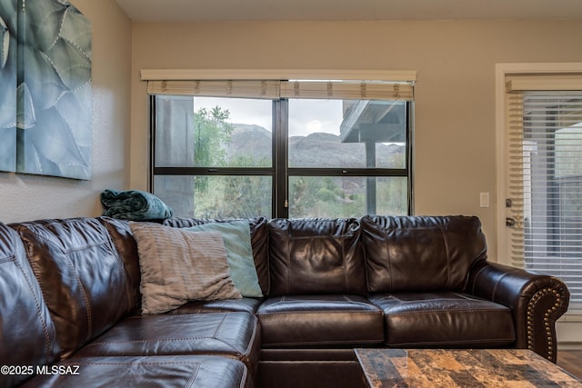 5855 N Kolb Rd Unit 1102, Tucson, AZ 85750 - view of living area