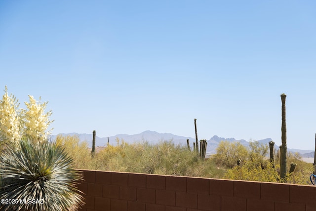 6719 W Kaibab Trl, Marana, AZ 85658 - mountain view