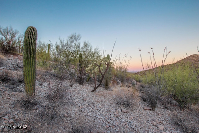 3075 W Placita Sierra Tortuga Unit 6, Tucson, AZ 85745