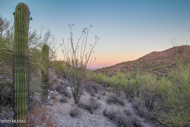 3075 W Placita Sierra Tortuga Unit 6, Tucson, AZ 85745
