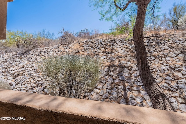 7050 E Sunrise Dr Unit 12106, Tucson, AZ 85750 - view of yard