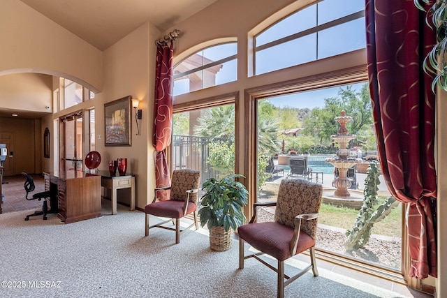 7050 E Sunrise Dr Unit 12106, Tucson, AZ 85750 - office space featuring arched walkways, high vaulted ceiling, and carpet