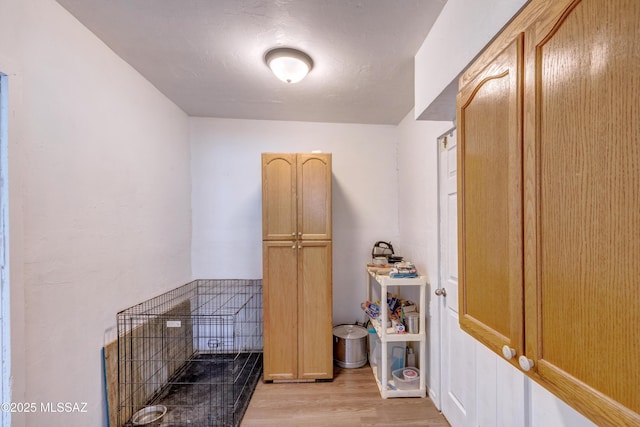 interior space with light wood-type flooring