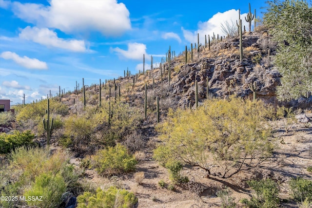 6461 N Thimble Pass, Tucson, AZ 85750 - view of local wilderness