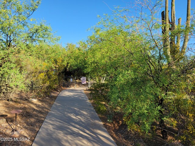 3025 N Gaia Pl, Tucson, AZ 85745 - view of concrete driveway