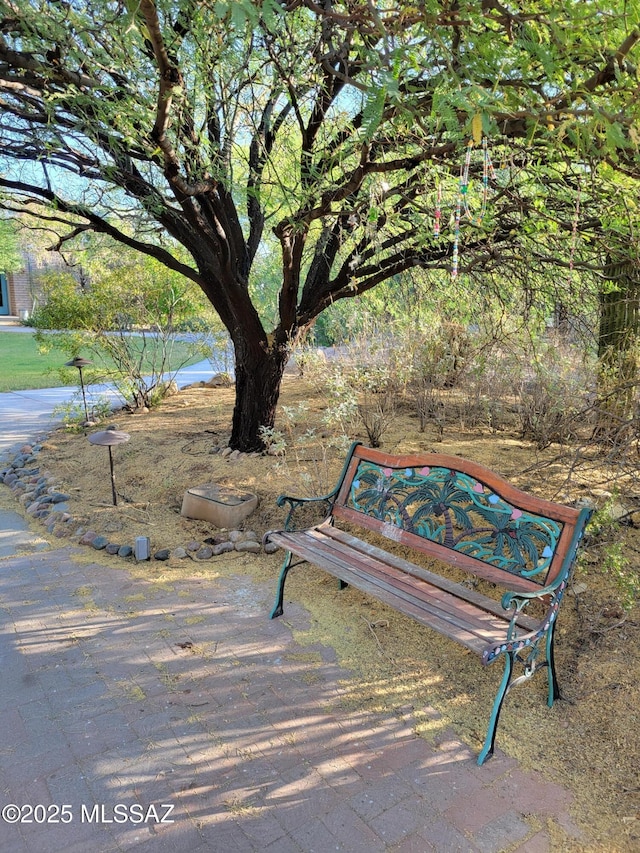 3025 N Gaia Pl, Tucson, AZ 85745 - view of property's community