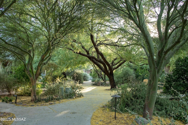 3025 N Gaia Pl, Tucson, AZ 85745 - view of surrounding community