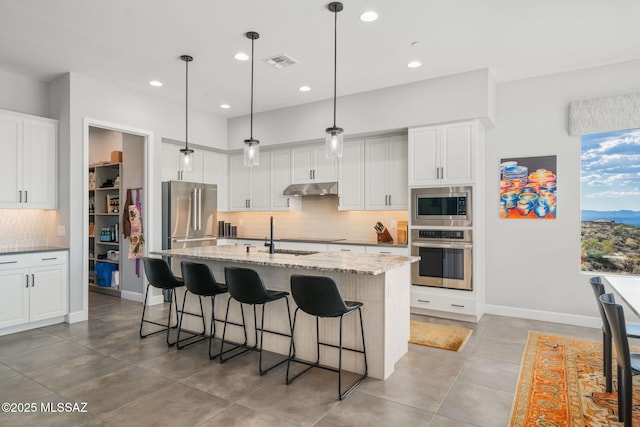 10465 E Ocotillo Rim Trl, Vail, AZ 85641 - kitchen with stainless steel appliances, under cabinet range hood, a sink, recessed lighting, and tasteful backsplash