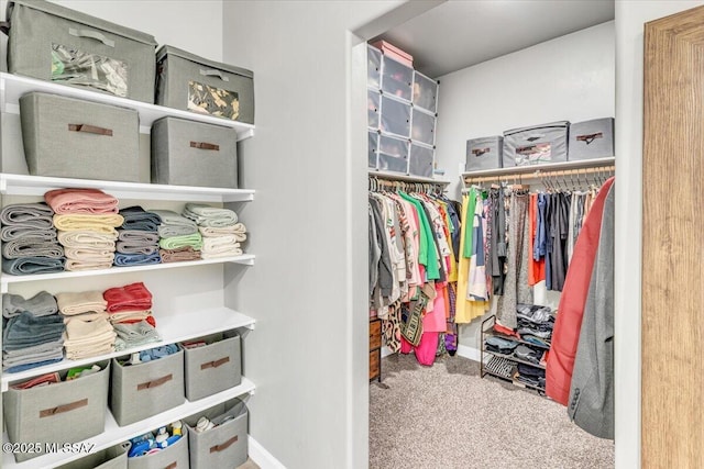 10094 N Cardon Grande Trl, Marana, AZ 85653 - walk in closet with carpet