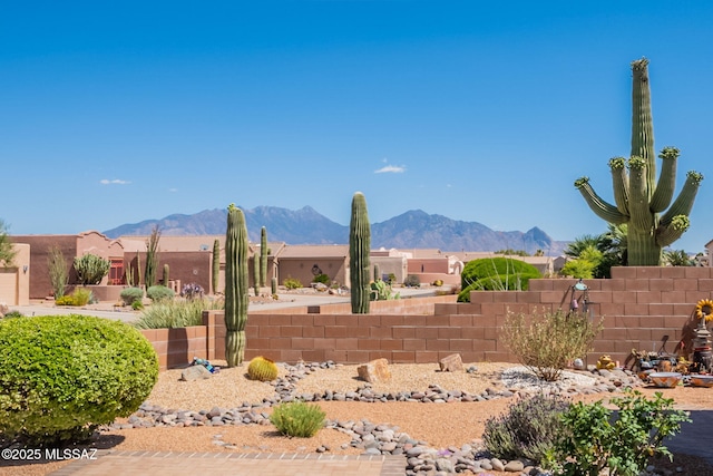 2337 S Via Vespucci, Green Valley, AZ 85614 - view of mountain background