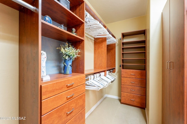 2337 S Via Vespucci, Green Valley, AZ 85614 - walk in closet with light carpet