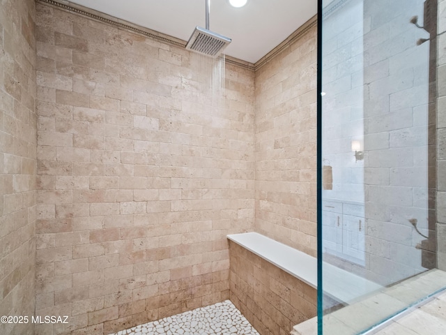 5825 N Camino Miraval Dr, Tucson, AZ 85718 - bathroom with a walk in shower