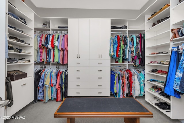 66450 E Sundance Pl, Saddlebrooke, AZ 85739 - view of spacious closet