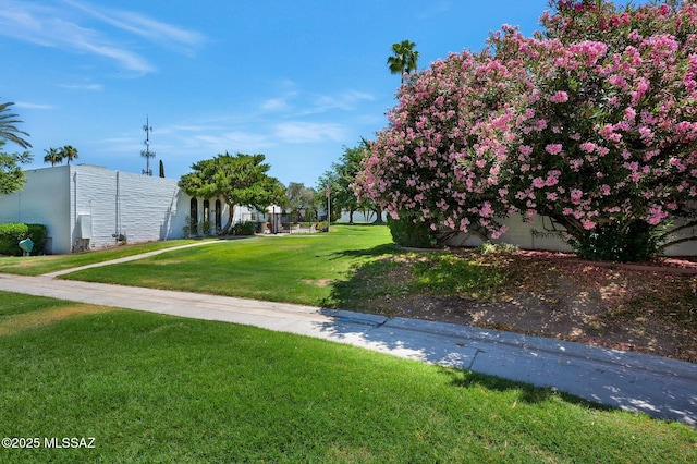 708 W Roller Coaster Rd, Tucson, AZ 85704 - view of community with a yard