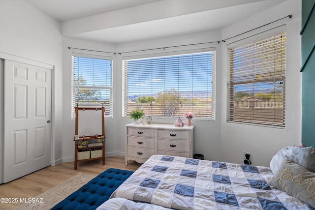 9451 S Via Bandera, Vail, AZ 85641 - bedroom featuring light wood-type flooring and baseboards