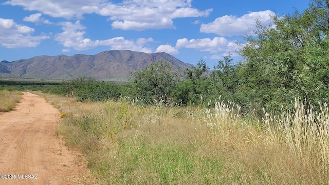 1176 W Trigger Ln, Cochise, AZ 85606 - mountain view