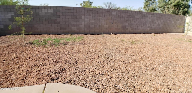1732 W Pineriver Pl, Tucson, AZ 85746 - view of yard